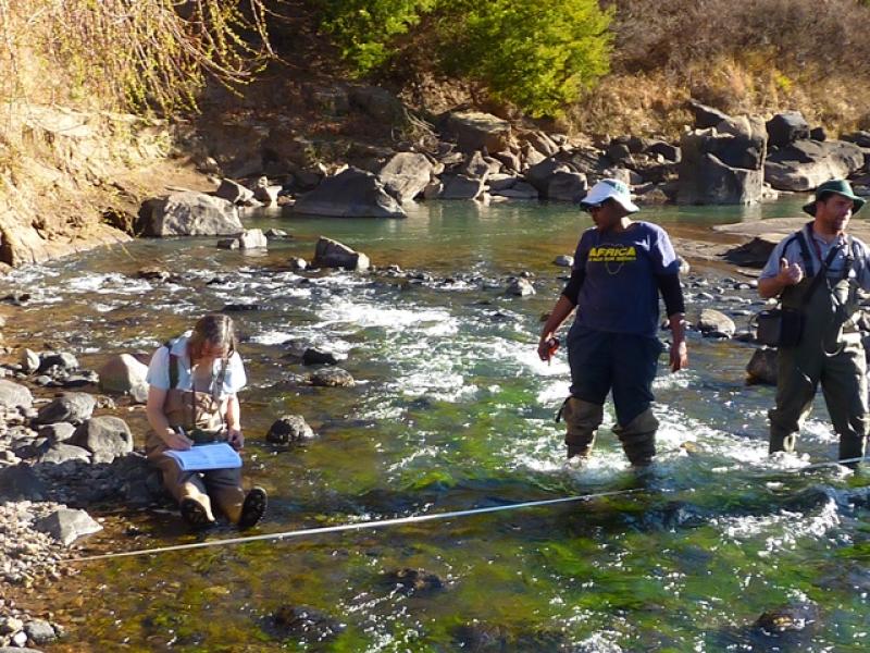 ESTABLECEN RETRIBUCIÓN POR USO DE AGUA SUPERFICIAL Y SUBTERRÁNEA