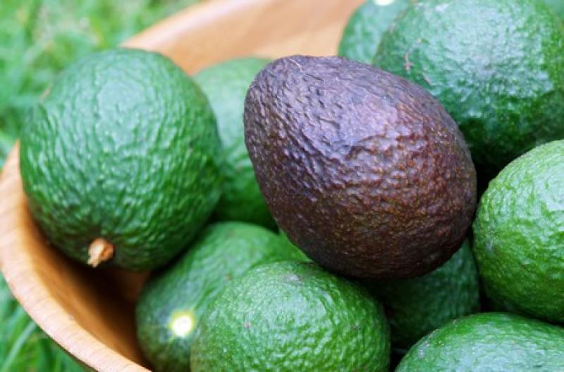 Estados Unidos: 500 millones de aguacates vendidos para fiestas y celebraciones en el 2016