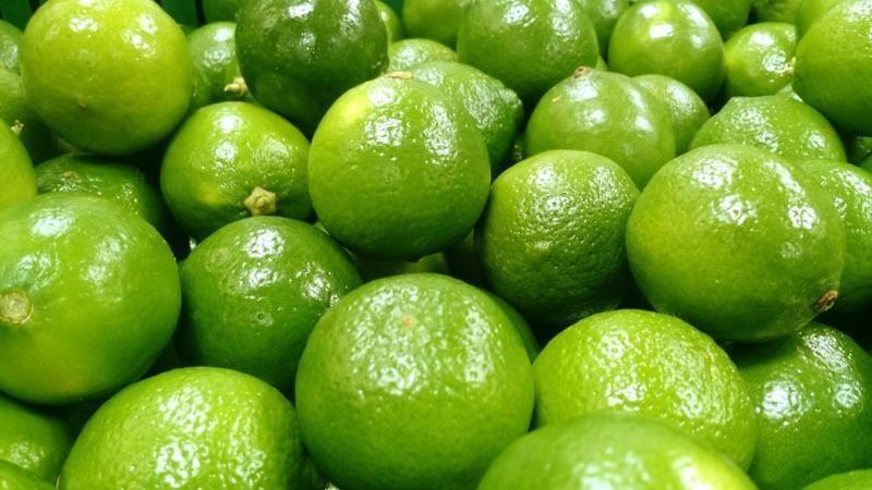 Estados Unidos fue el principal destino del limón fresco procedente de Perú entre enero y mayo de 2025