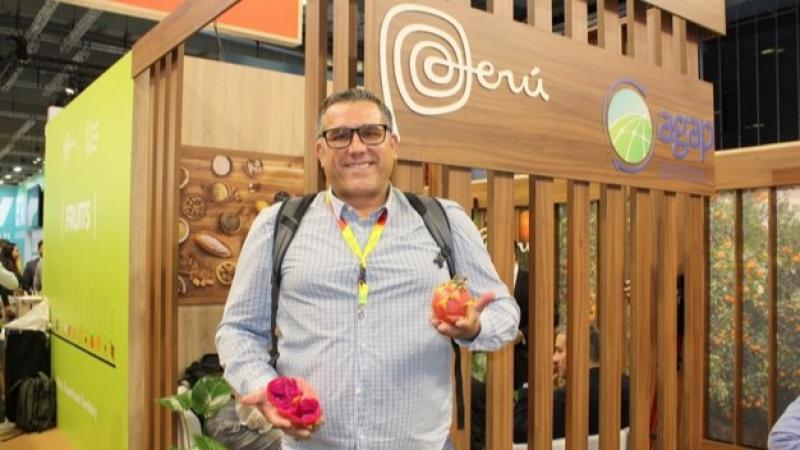 "Estamos en el inicio de una industria que en 20 años puede posicionar a Perú como líder en la exportación de pitahaya orgánica"