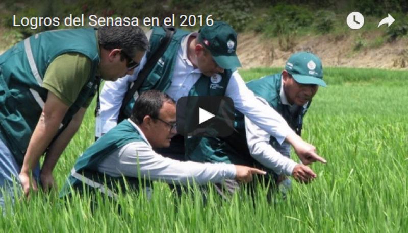 Este año Senasa se enfocará en abrir mercados de Oceanía y Sudeste asiático para frutas y hortalizas frescas de Perú