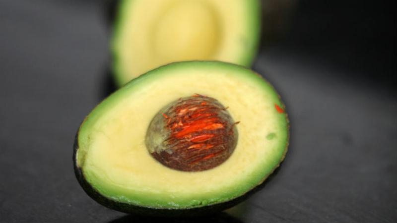 Estudio en EE.UU. revela que las cáscaras de la semilla de la palta pueden ayudar en tratamientos contra el cáncer y enfermedades del corazón