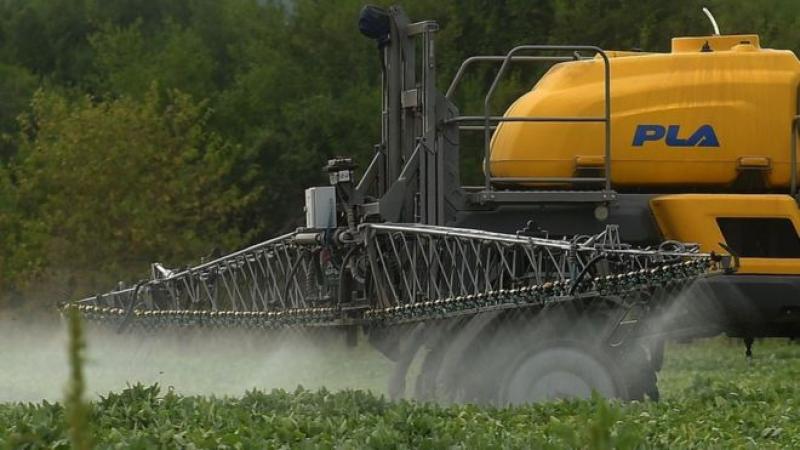Europa: denuncia contra el polémico glifosato  por posibles efectos en la salud