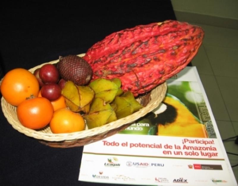 EXPOAMAZÓNICA: PRODUCTORES DEBERÁN CONTAR CON CERTIFICADOS FITOSANITARIOS