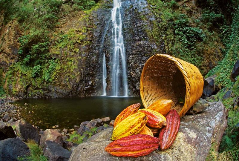 EXPOAMAZÓNICA: SOSTENIBILIDAD E INCLUSIÓN DE PRODUCTOS BIODIVERSOS