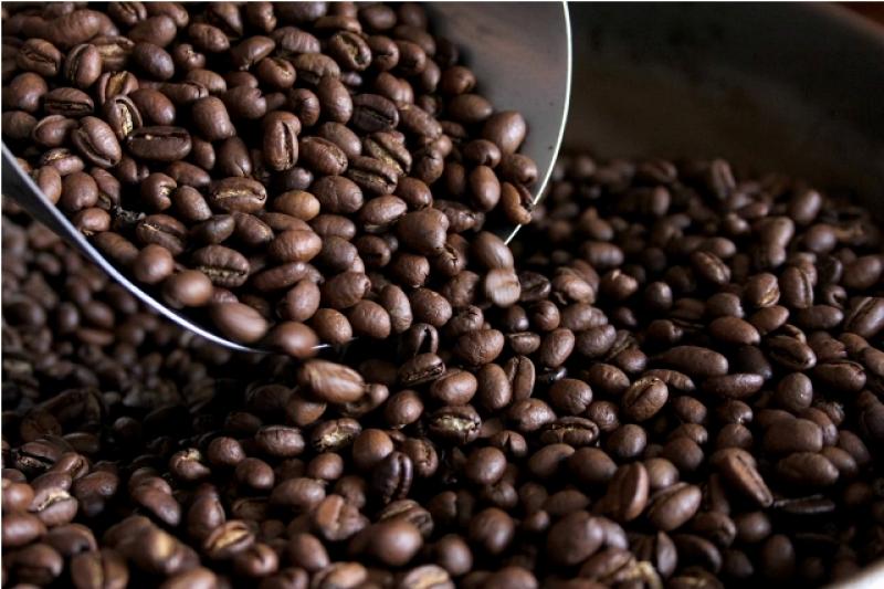 EXPORTACIÓN DE CAFÉ AUMENTÓ 53%