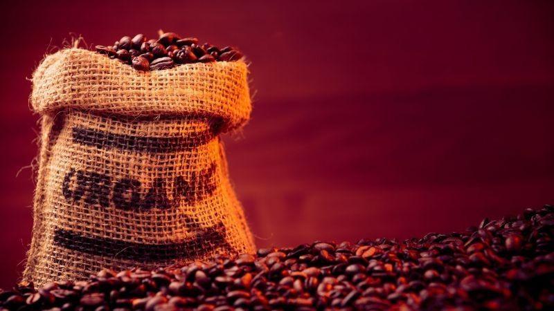 Exportación de café orgánico crece y aporta el 15% en valor del total de café exportado