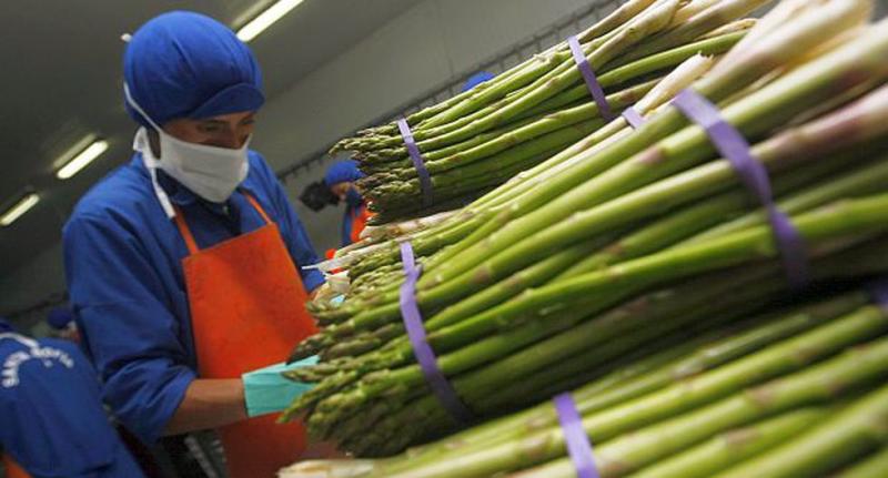 Exportación de frutas y hortalizas frescas creció en 12% durante el primer mes del año