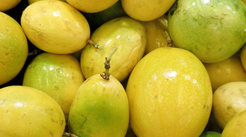 Exportación de maracuyá y sus derivados alcanzaría los US$ 84 millones este 2026