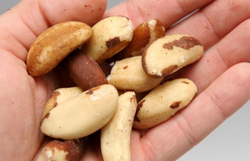 EXPORTACIÓN DE NUECES DEL BRASIL AUMENTÓ 56%