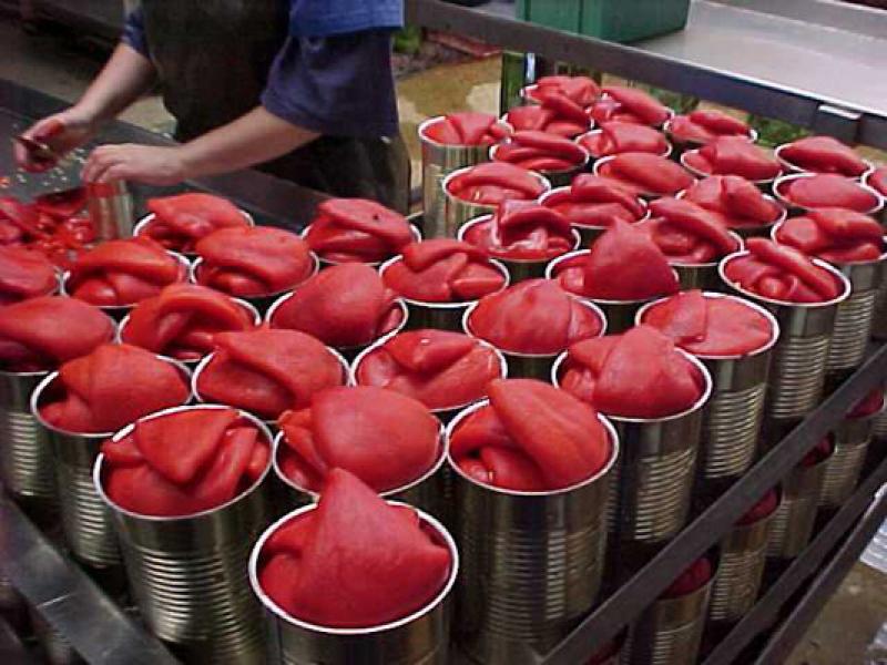EXPORTACIÓN DE PIMIENTO PIQUILLO EN CONSERVA CRECIÓ 90%