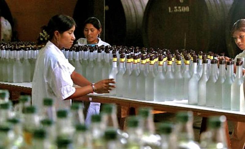 Exportación de pisco creció 6% entre enero y agosto del presente año