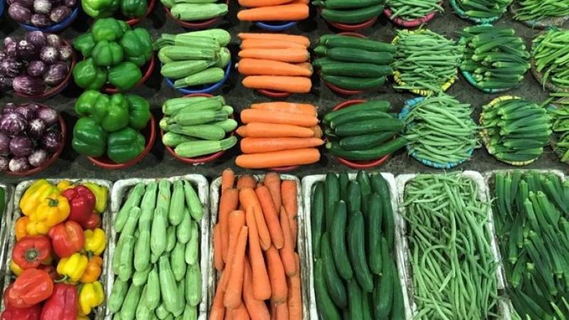 Exportación española de frutas y hortalizas a Europa mantiene una evolución positiva