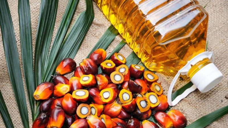 Exportación peruana de aceite de palma sumó US$ 38 millones entre enero y julio