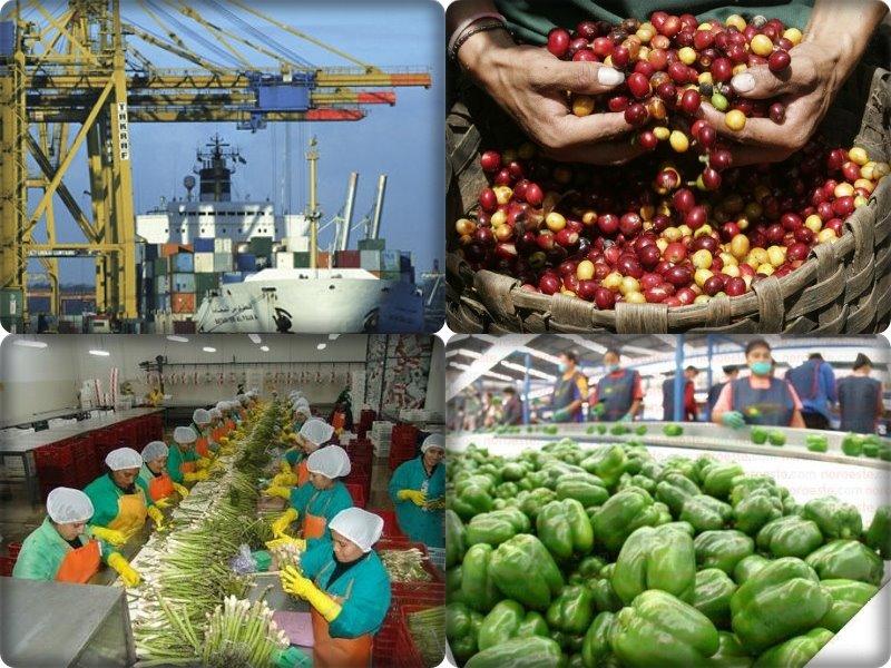 EXPORTACIONES AGRARIAS SUMARON US$ 1.112 MILLONES 