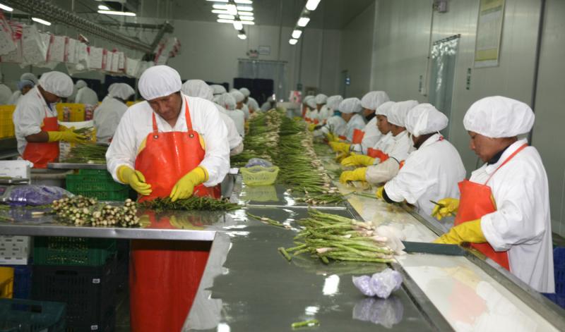 EXPORTACIONES AGRARIAS SUMARON US$ 1.431 MILLONES EN PRIMER CUATRIMESTRE
