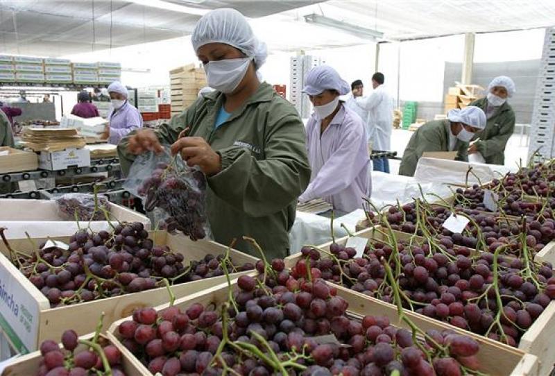 EXPORTACIONES DE 18 REGIONES SE REDUJERON