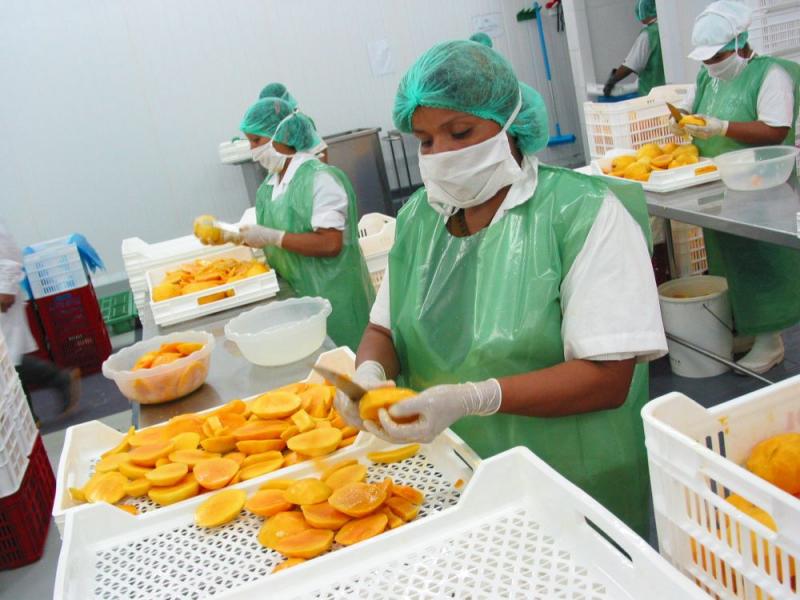 Exportaciones de alimentos de Piura crecieron 39.9% entre enero y julio del presente año