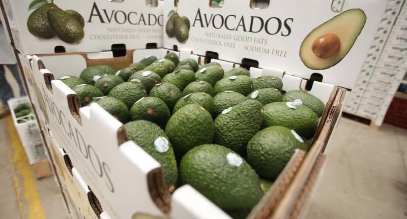 Exportaciones de arándano, palta y mandarina crecen a pesar de la pandemia y las protestas