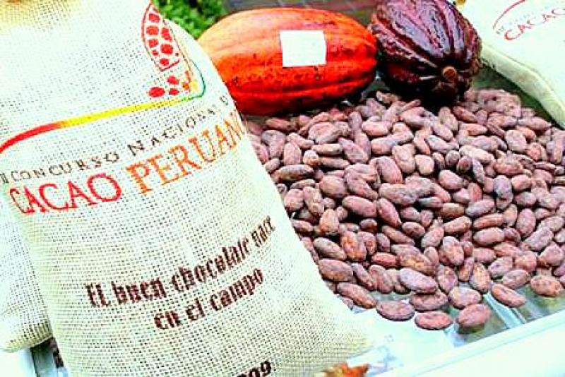 EXPORTACIONES DE CACAO A MÉXICO CRECIERON 227% EN EL 2015