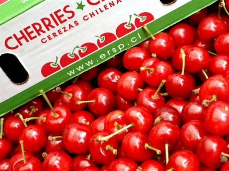 Exportaciones de cerezas chilenas crecerán 2.6% durante temporada 2021-2022