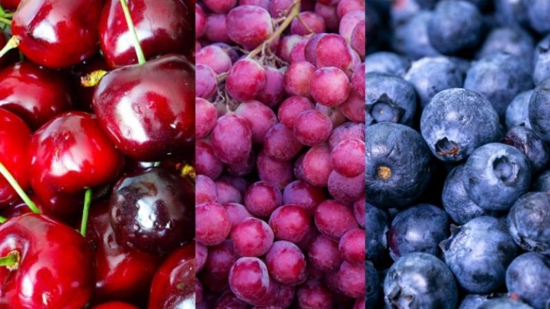Exportaciones de frutas de Chile alcanzan récord histórico entre enero y abril de 2024