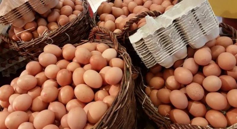 Exportaciones de huevos fecundados llegan a US$ 2 millones