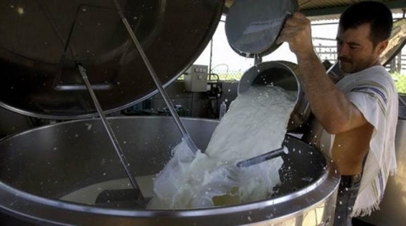 EXPORTACIONES DE LECHE EVAPORADA Y CONDENSADA A CHINA SE INICIARÍAN EL 2016