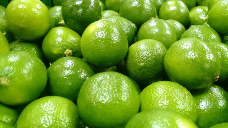 Exportaciones de limón alcanzan las 6.956 toneladas en lo que va de la presente campaña