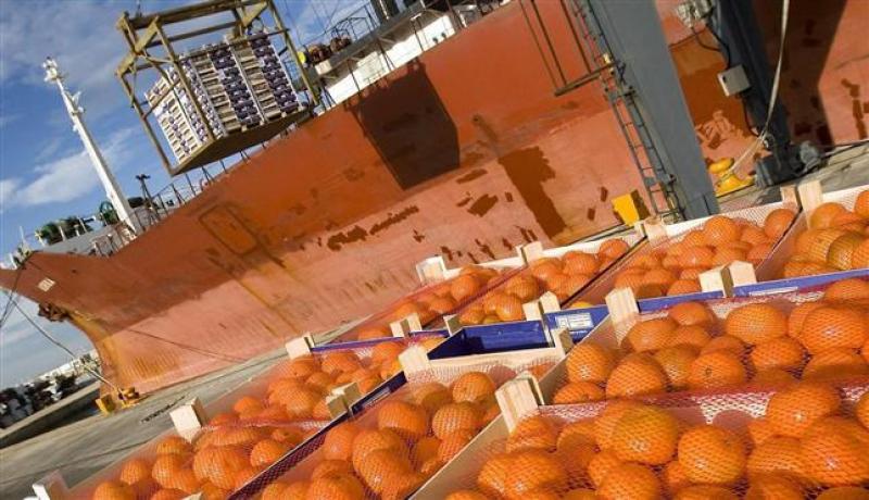 EXPORTACIONES DE MANDARINAS CRECERÍAN 10% ESTE AÑO