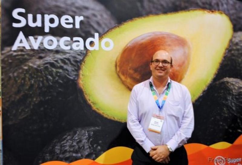 Exportaciones de palta Hass de Perú a Chile se incrementarían 10% en la campaña de este año