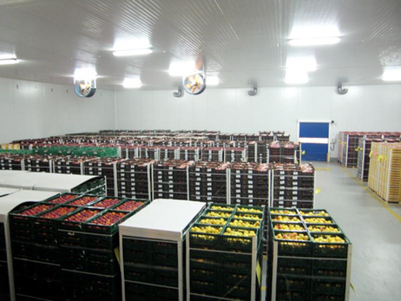 EXPORTACIONES DE PERÚ VÍA AÉREA PODRÍAN PERDER COMPETITIVIDAD