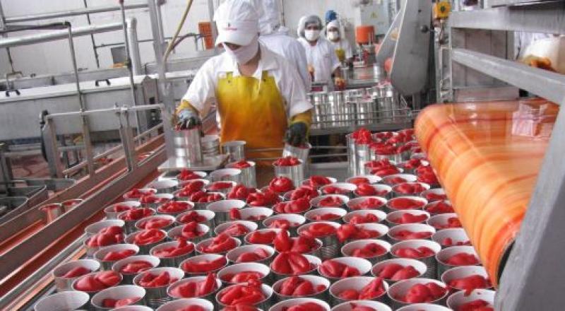 Exportaciones de pimiento morrón en conserva caen -34.40% en volumen y -28.32% en valor entre enero y julio de 2023