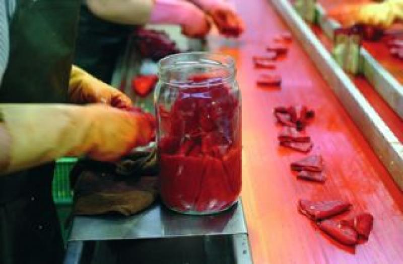 EXPORTACIONES DE PIMIENTO PIQUILLO EN CONSERVAS CRECEN 44%