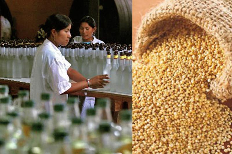 EXPORTACIONES DE PISCO Y QUINUA CRECIERON 26% Y 58%, RESPECTIVAMENTE