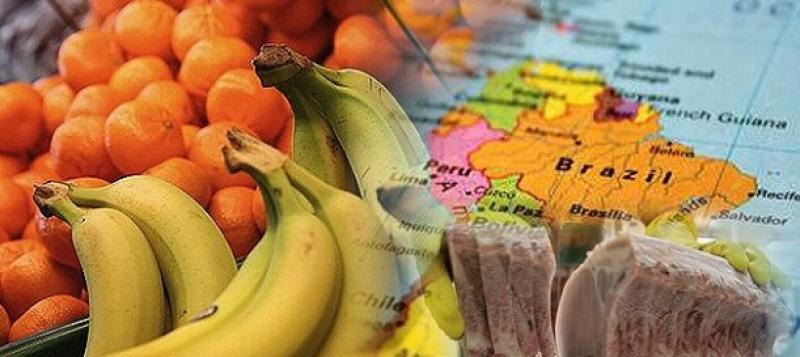 Exportaciones de productos frescos de América Latina no se vieron afectados por el Covid-19