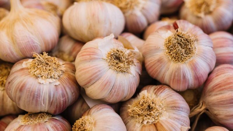 Exportaciones peruanas de ajo alcanzaron las 1.133 toneladas por US$ 1.6 millones en el primer trimestre del 2025
