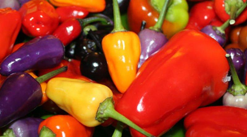 Exportaciones peruanas de capsicum caerían en valor 17% este año