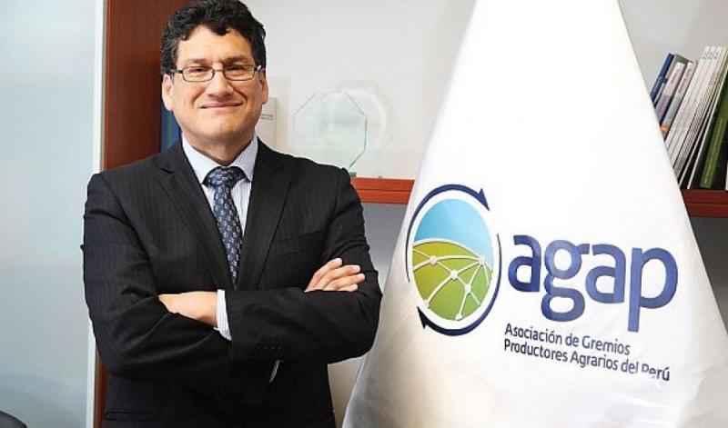 Exportaciones peruanas de frutas y hortalizas frescas crecerían 22% este año
