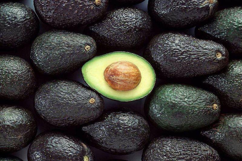 Exportaciones peruanas de palta orgánica y ecológica sumaron 5.774 toneladas hasta el 23 de marzo del presente año