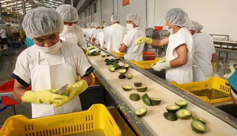 Exportaciones peruanas de productos no tradicionales a países de la CAN crecieron 68% en la última década