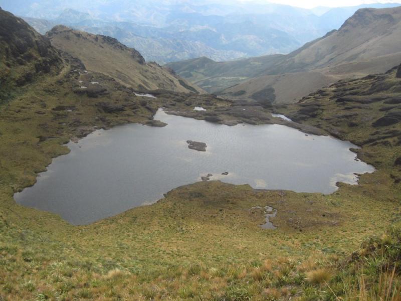 Exportadores de banano apuestan por la conservación de las nacientes de agua