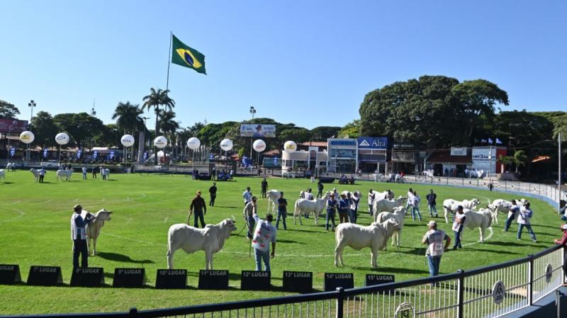 ExpoZebu: la mayor feria de ganado cebú del mundo celebrará su edición 90 este año