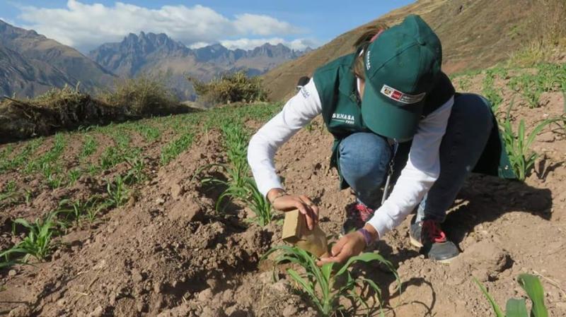 FAO declaró al 2020 Año Internacional de la Sanidad Vegetal