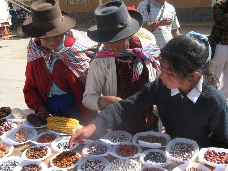 FAO insta a los gobiernos a vincular seguridad alimentaria y seguridad nutricional