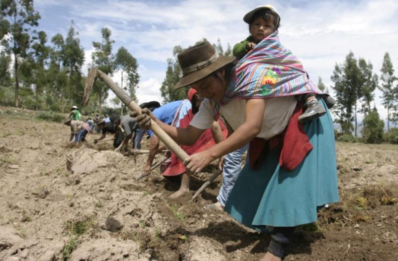 FAO PRESENTA PLATAFORMA DIGITAL SOBRE AGRICULTURA FAMILIAR