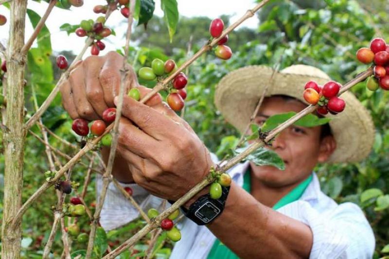 Fencaap inconforme tras culminación de mesas de diálogo