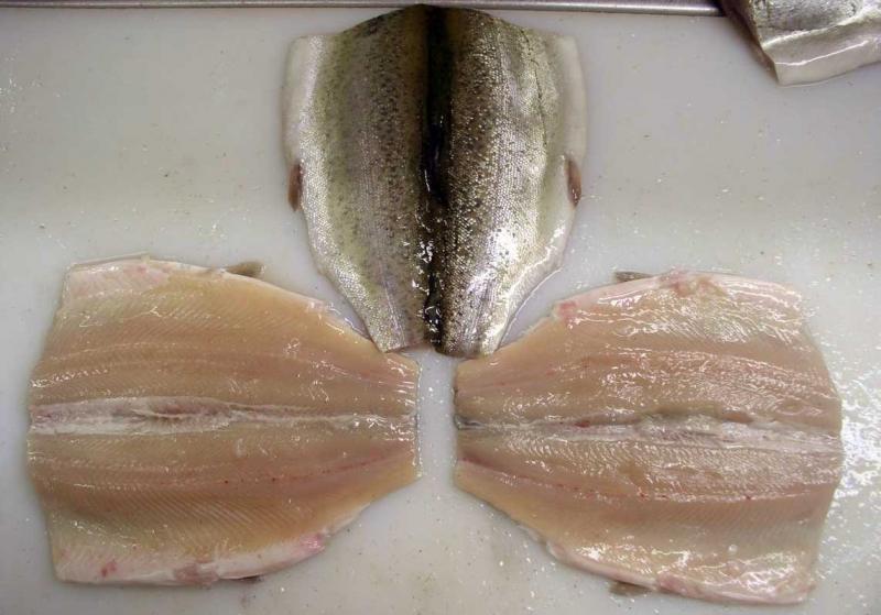 FILETES DE TRUCHA PERUANA OBTIENEN PREMIO INTERNACIONAL 