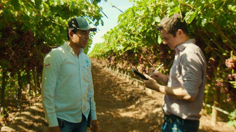 Financiamiento a la agricultura: Una inversión en el futuro de la nutrición