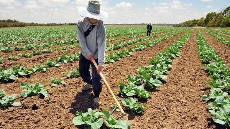 Gestión pública para el futuro del agro